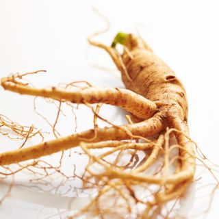 Extract de rădăcină de ginseng